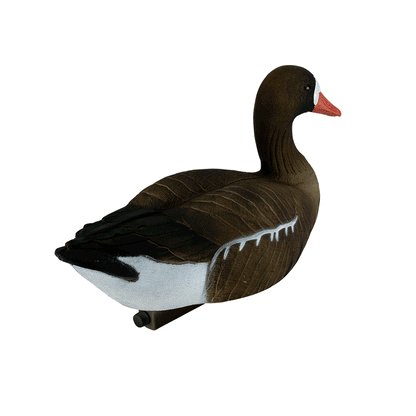 Specklebelly Goose Floater