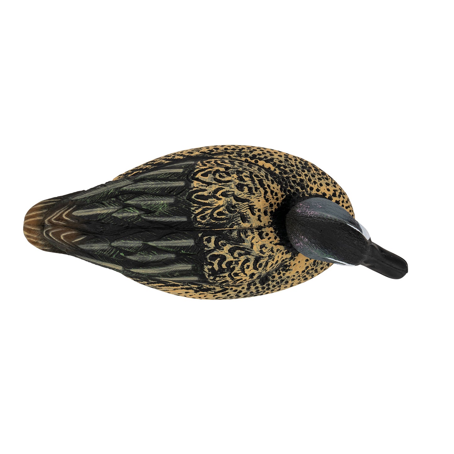 Flight Blue Wing Teal