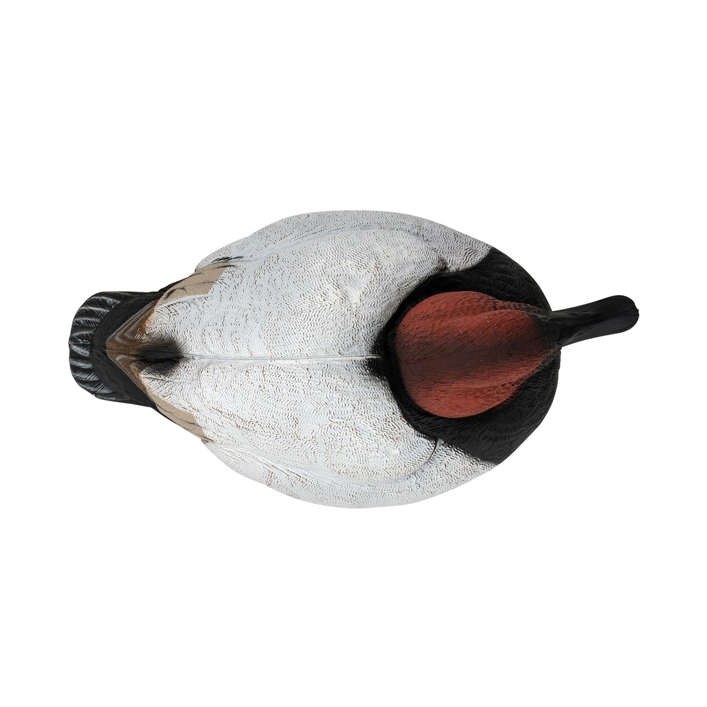 Flight Canvasback