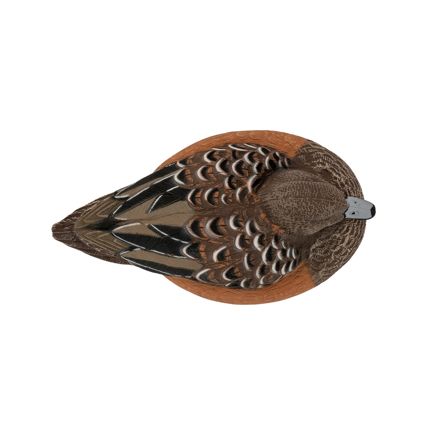 Flight Series Wigeon Decoy