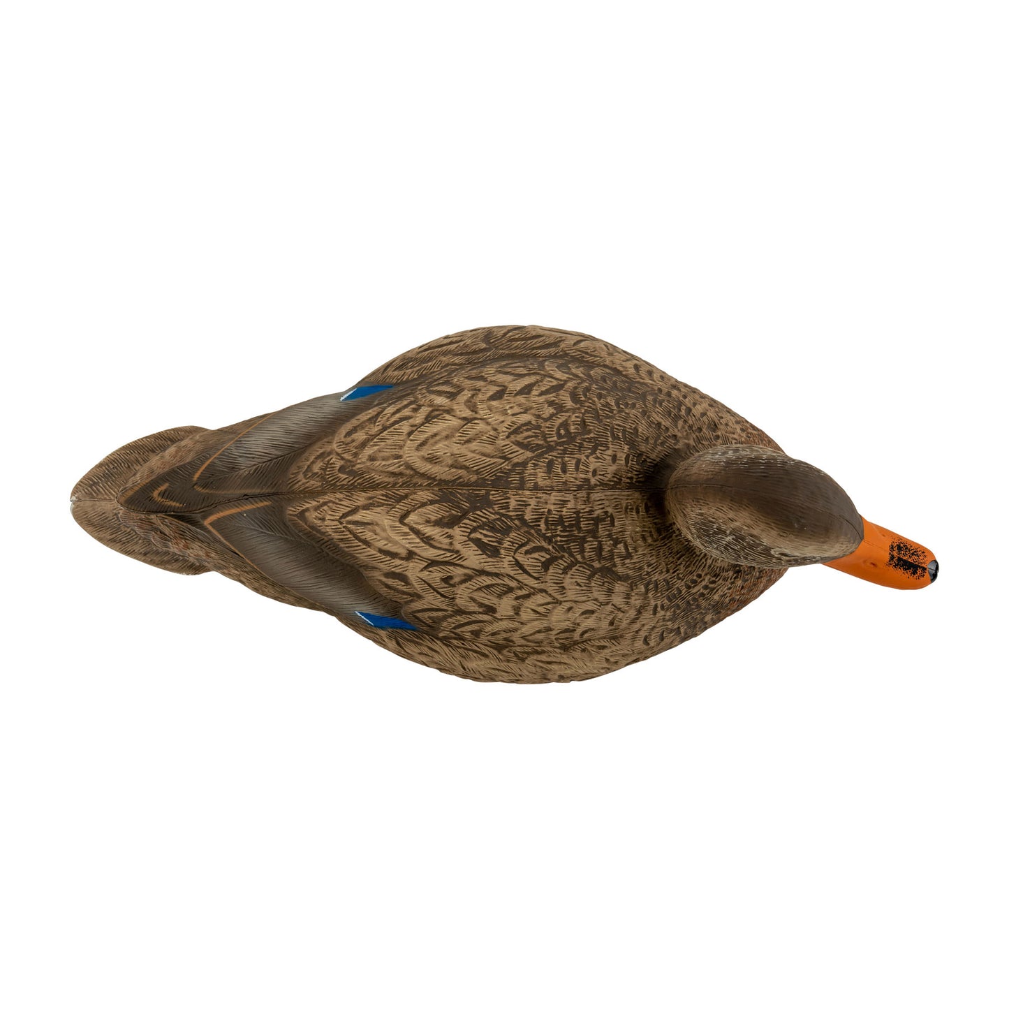 Mallard hen decoy top down image