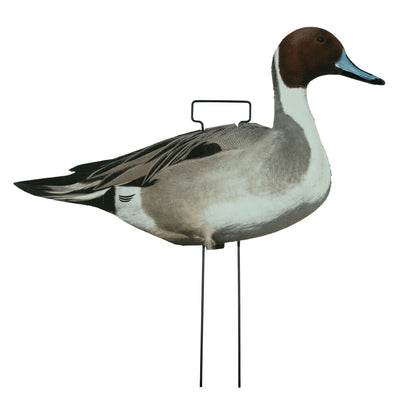 Fully Flocked Pintail Skinny Decoys (12 Pack)
