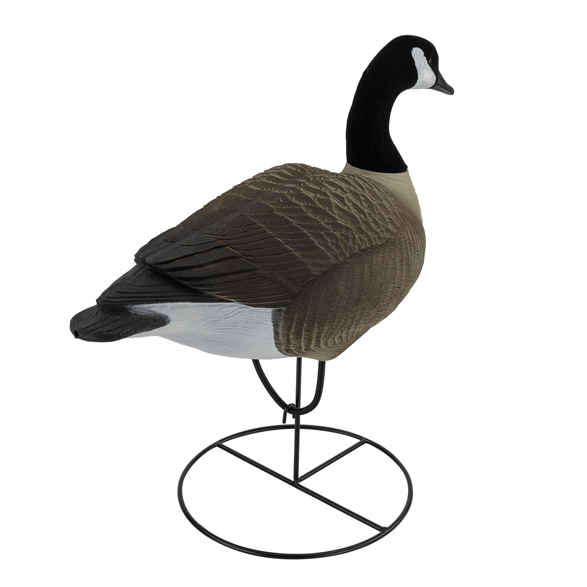 Best deals on canada 2025 goose