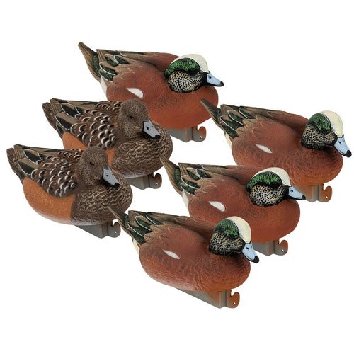Flight Wigeon Decoy 6-Pack
