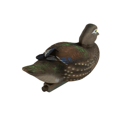 Pro Series Wood Duck